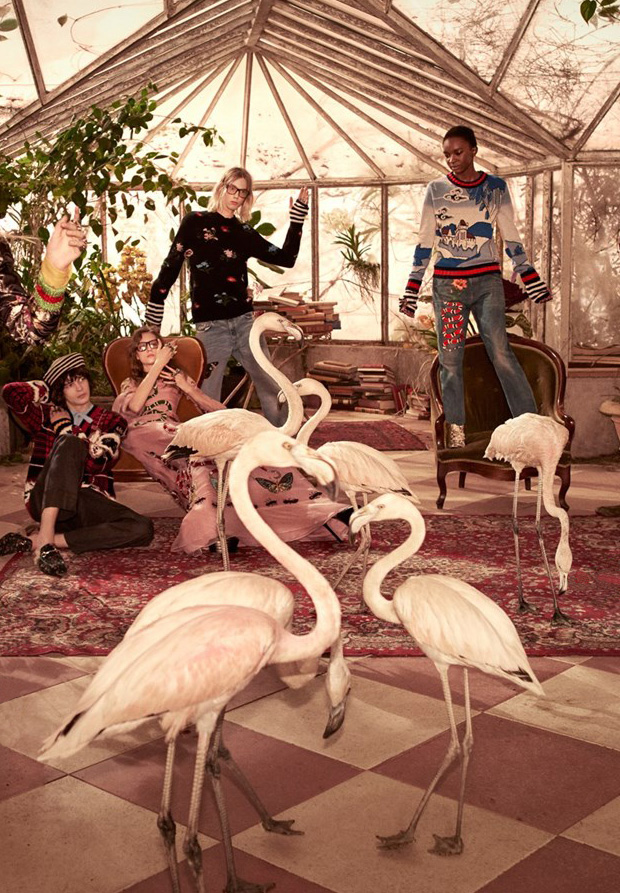 FLAMINGOS INVADEM CAMPANHA PRE-FALL 2016 DA GUCCI